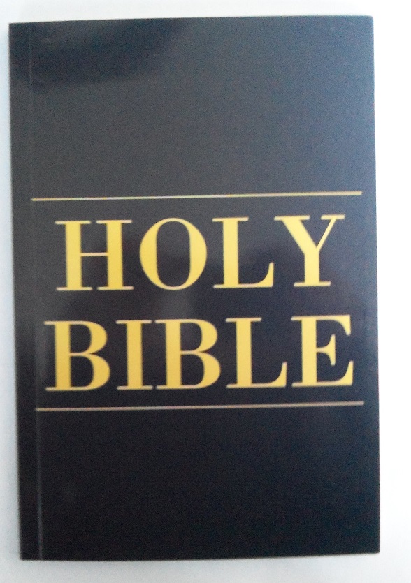 Holy Bible Coloring Book Medium Size (watch video)